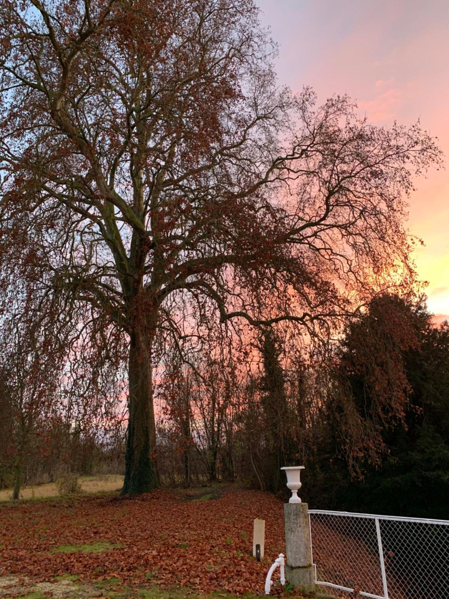 Chateau De Juvigny Eksteriør bilde